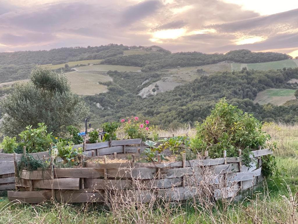 Agriturismo Pian Di Meta Vecchia Castiglione dʼOrcia Exterior foto
